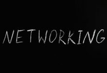 online expansion digital network