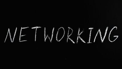 online expansion digital network