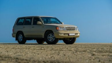 reliable stability online model