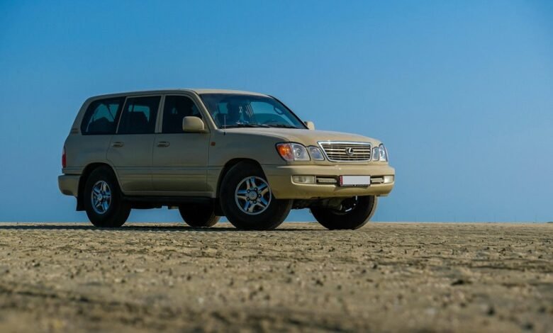 reliable stability online model